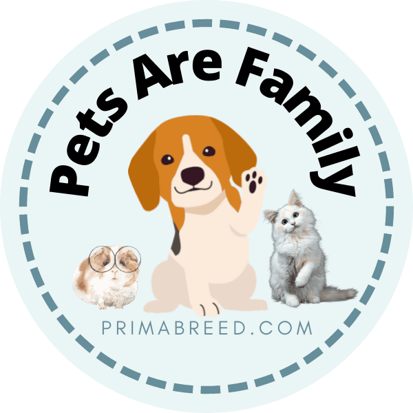 Premium Pet Products